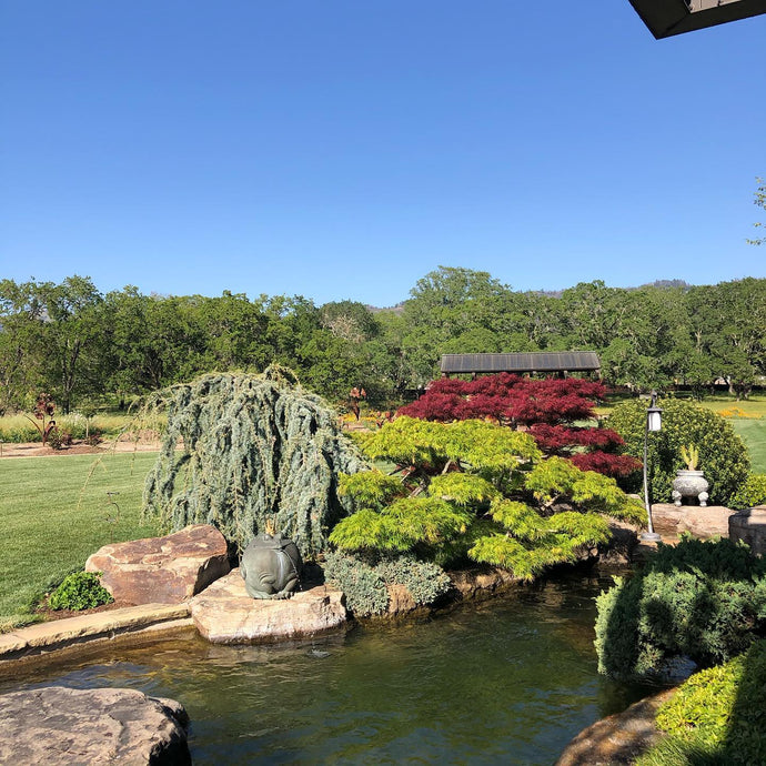 Garden scene with pond, statues, and trees under a clear blue sky