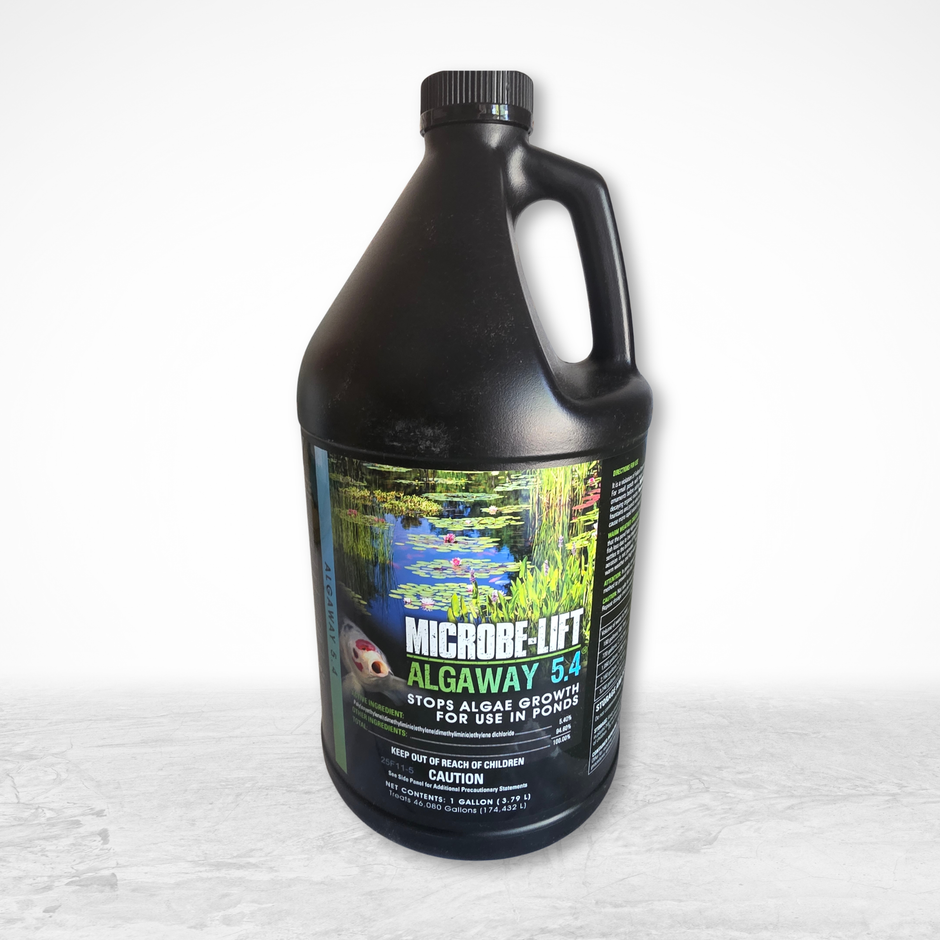 AlgAway 5.4 Algaecide – 1 Gallon