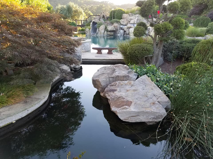 Garden scene with a pond, rocks, and greenery
