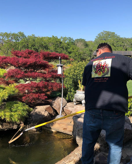 Person standing by a pond with garden features and trees in the background