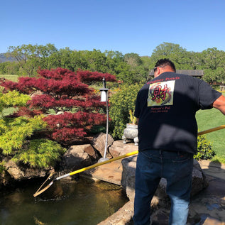 Person standing by a pond with garden features and trees in the background